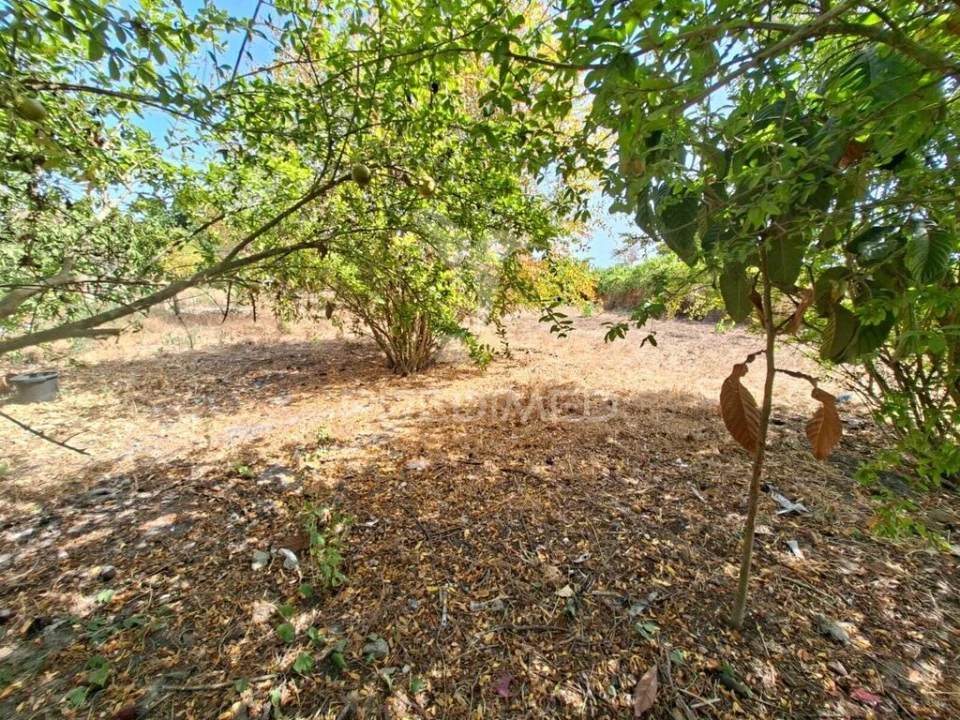 Terreno para Venda em Moita Foto 8