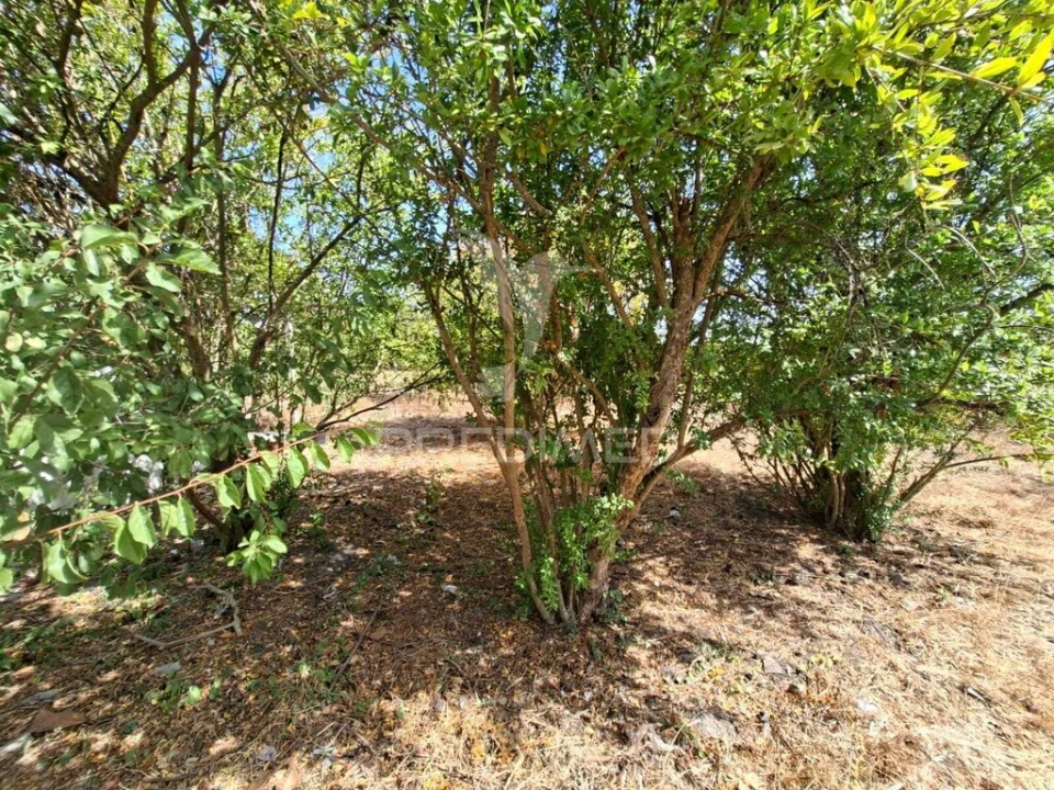 Terreno para Venda em Moita Foto 7
