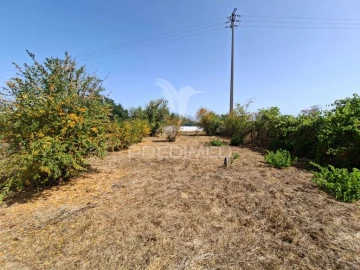Terreno para Venda em Moita