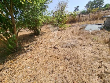 Terreno para Venda em Moita