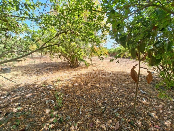 Terreno para Venda em Moita Foto 6
