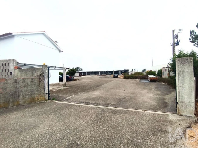 Terreno para Venda em Vieira de Leiria Foto 4