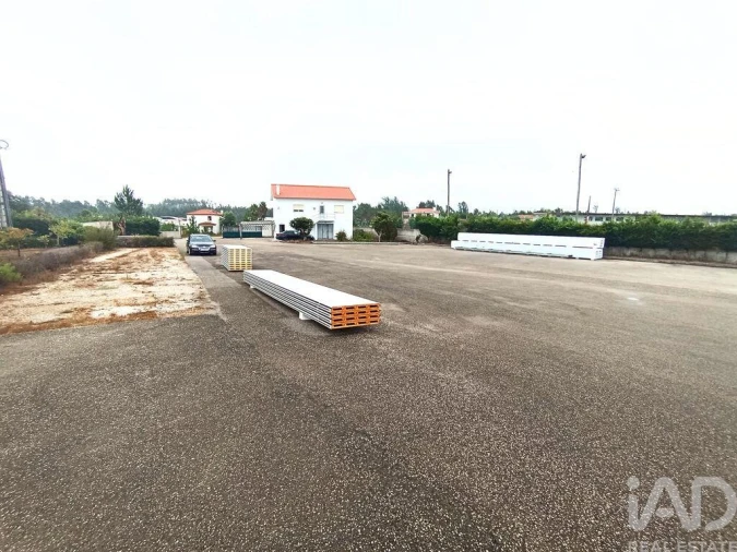 Terreno para Venda em Vieira de Leiria Foto 5