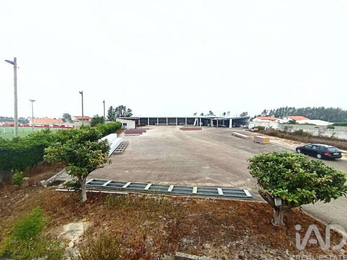 Terreno para Venda em Vieira de Leiria Foto 2