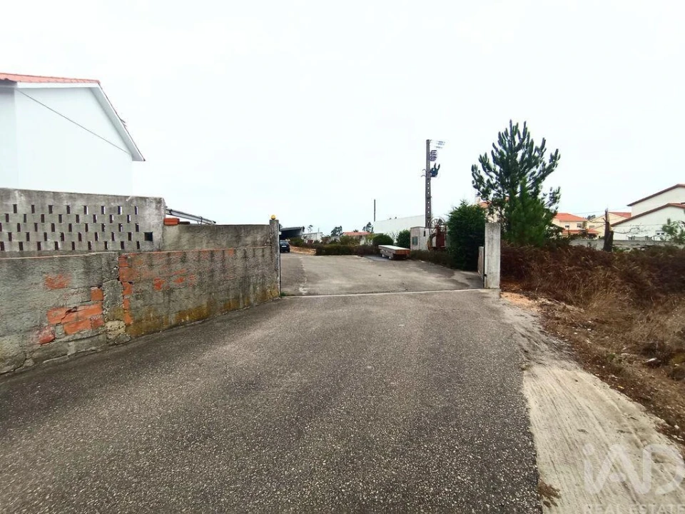 Terreno para Venda em Vieira de Leiria Foto 3
