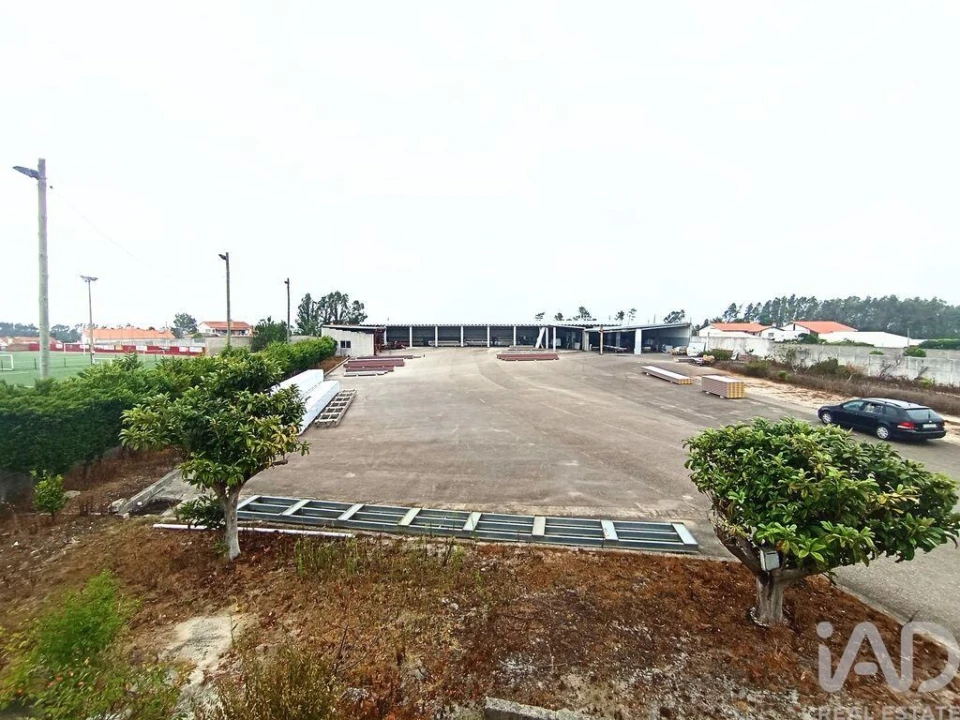 Terreno para Venda em Vieira de Leiria Foto 2