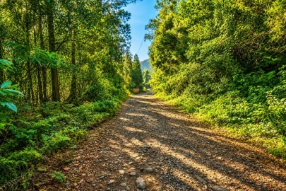 Moradia T1 para Venda em São Vicente