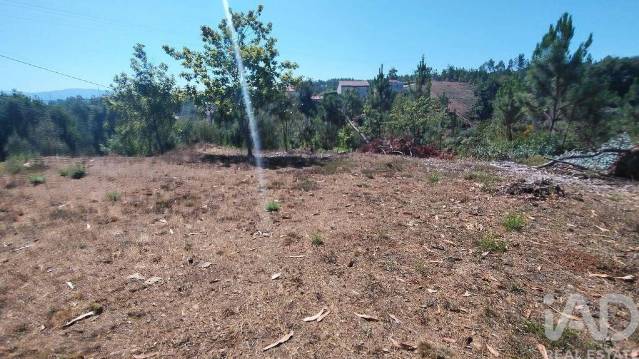 Terreno para Venda em Vila Facaia Foto 10