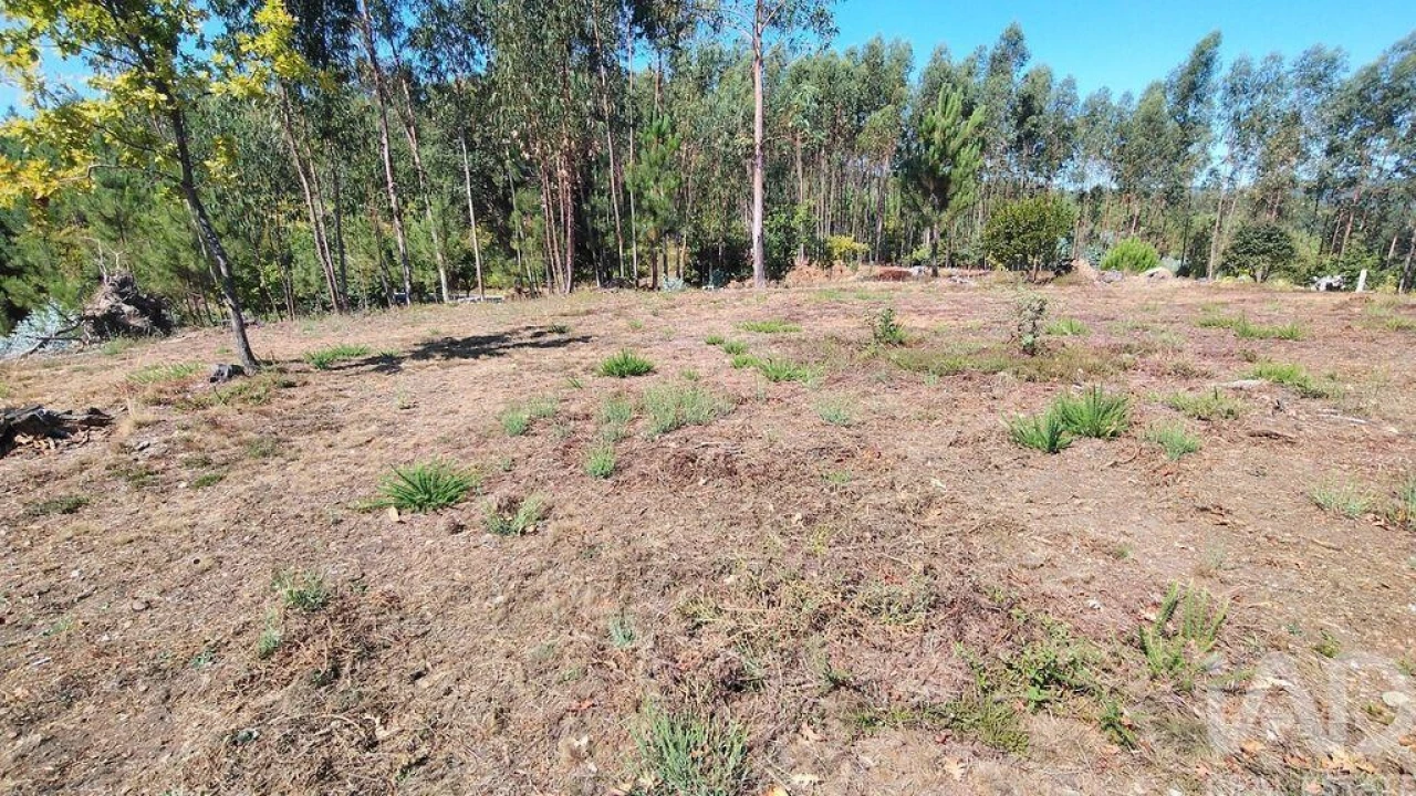 Terreno para Venda em Vila Facaia Foto 6