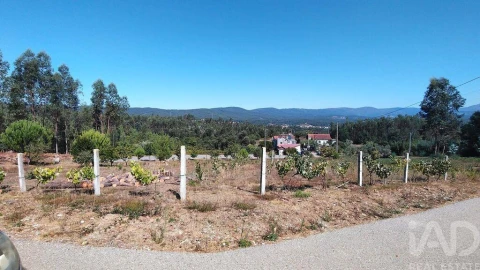 Terreno para Venda em Vila Facaia