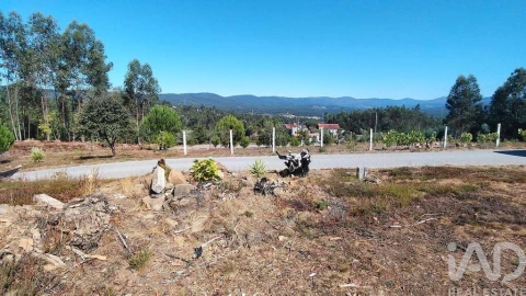 Terreno para Venda em Vila Facaia