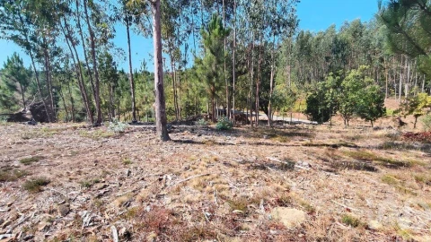 Terreno para Venda em Vila Facaia