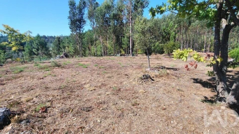 Terreno para Venda em Vila Facaia