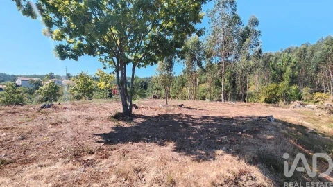 Terreno para Venda em Vila Facaia