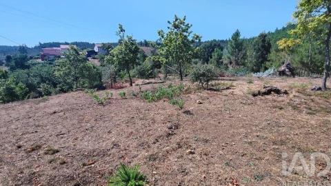 Terreno para Venda em Vila Facaia
