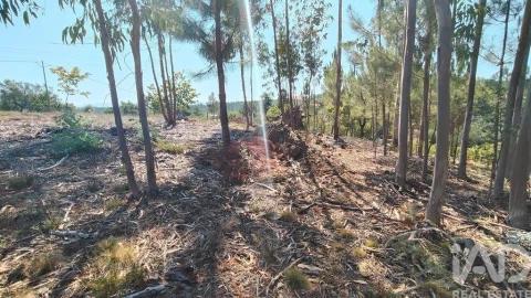 Terreno para Venda em Vila Facaia