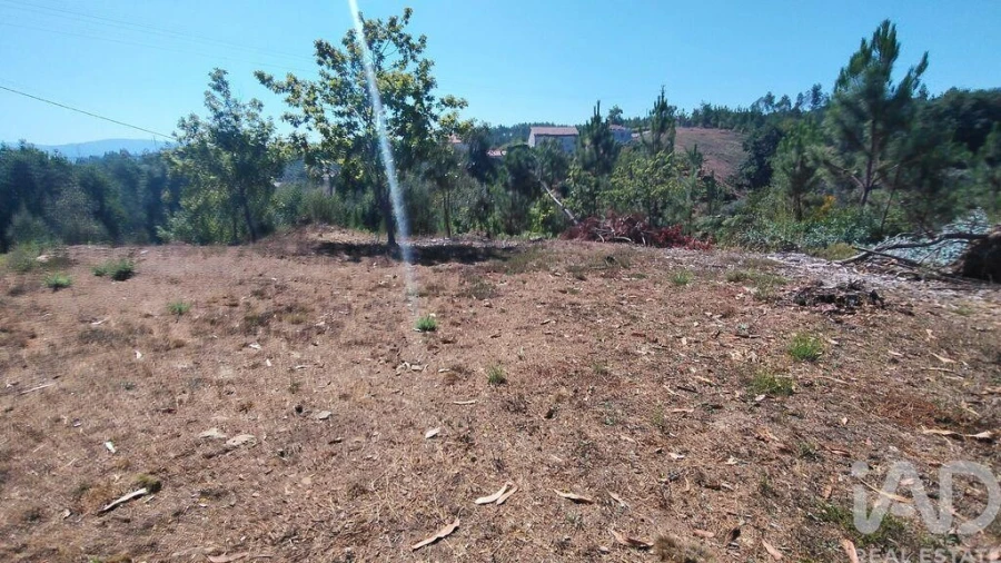Terreno para Venda em Vila Facaia Foto 10