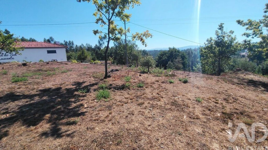 Terreno para Venda em Vila Facaia Foto 9