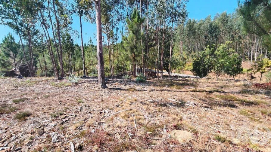 Terreno para Venda em Vila Facaia Foto 12