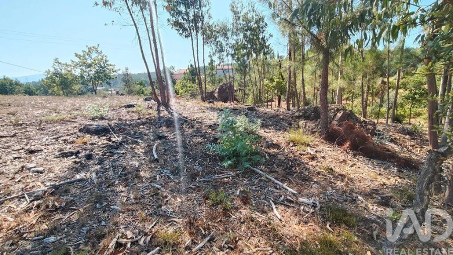 Terreno para Venda em Vila Facaia Foto 15