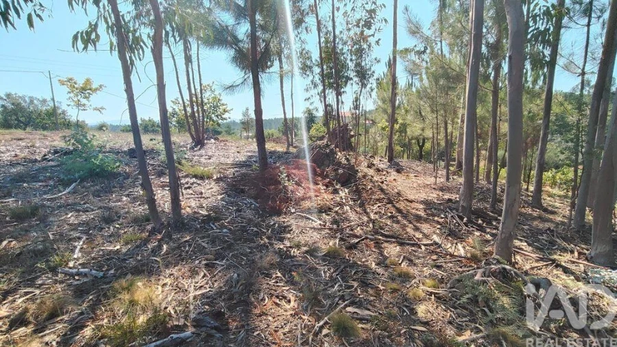 Terreno para Venda em Vila Facaia Foto 13
