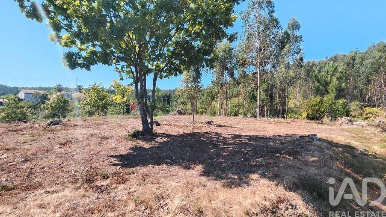 Terreno para Venda em Vila Facaia Foto 4
