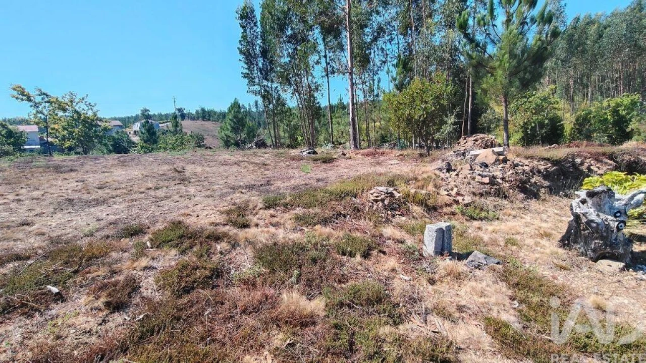 Terreno para Venda em Vila Facaia Foto 14