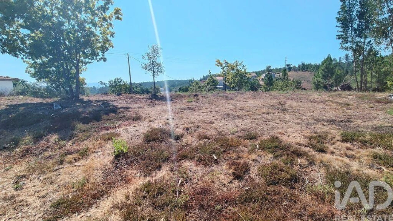 Terreno para Venda em Vila Facaia Foto 11