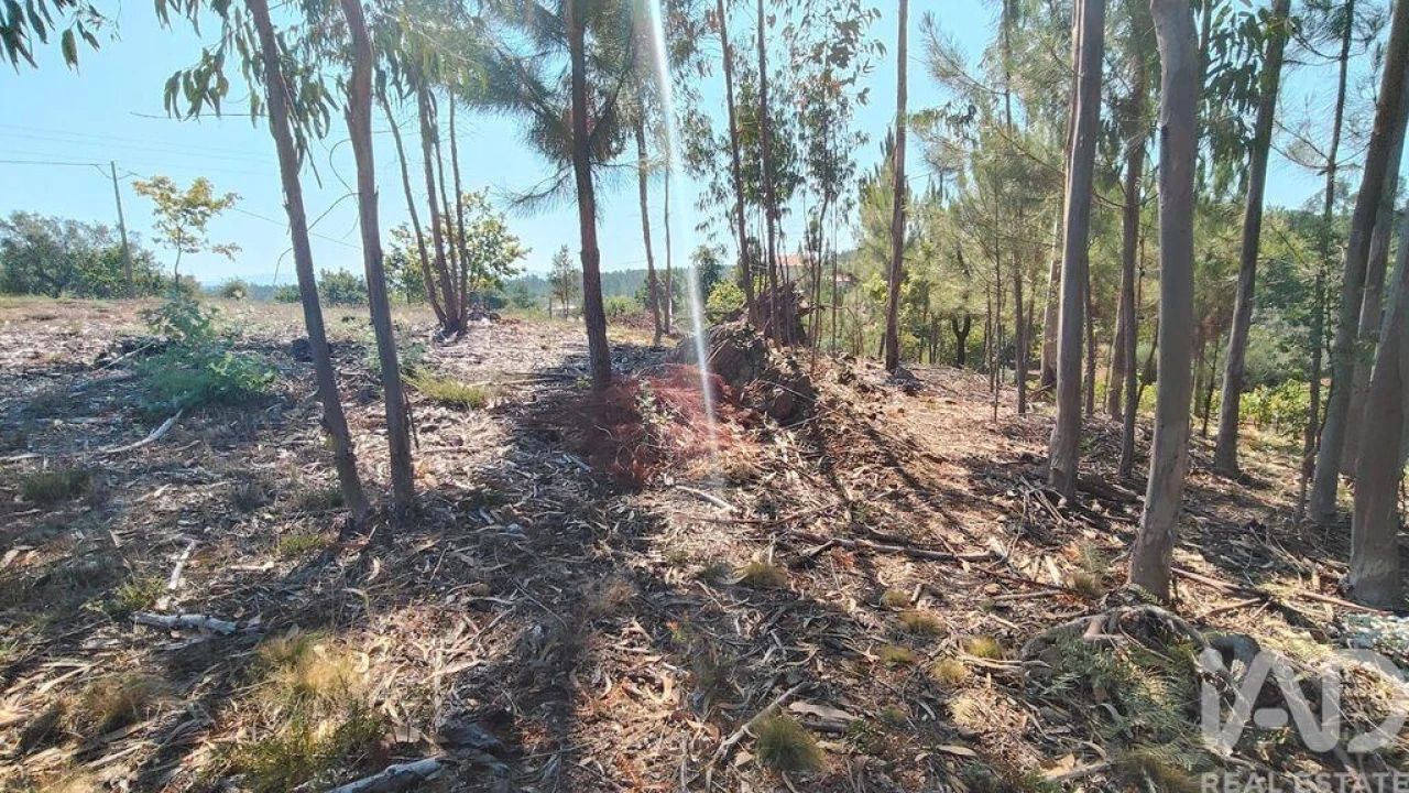 Terreno para Venda em Vila Facaia Foto 13