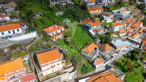 Terreno para Venda em Monte
