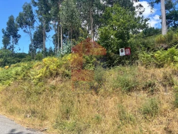 Terreno para Venda em Pico de Regalados, Gondiães e Mós