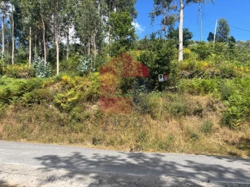 Terreno para Venda em Pico de Regalados, Gondiães e Mós