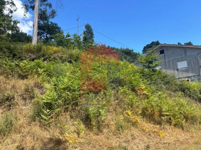 Terreno para Venda em Pico de Regalados, Gondiães e Mós Foto 6