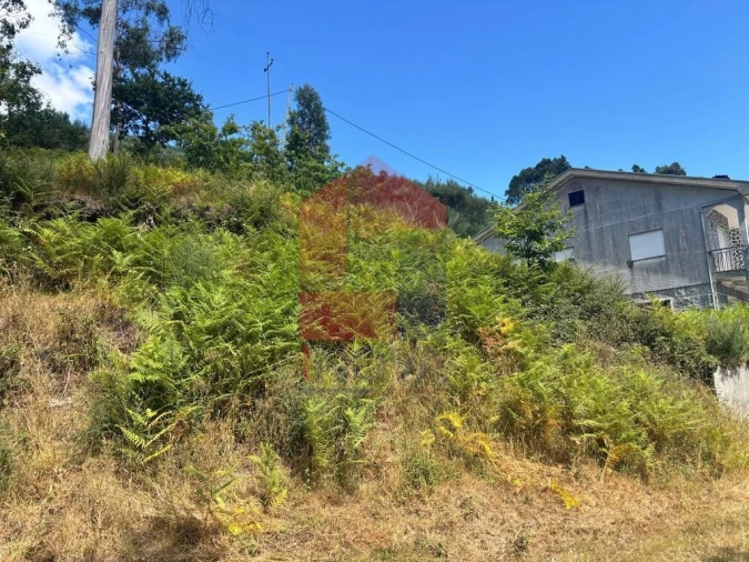 Terreno para Venda em Pico de Regalados, Gondiães e Mós Foto 3