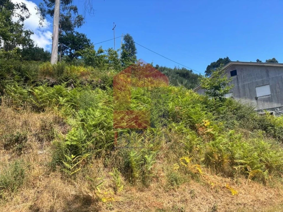 Terreno para Venda em Pico de Regalados, Gondiães e Mós Foto 8
