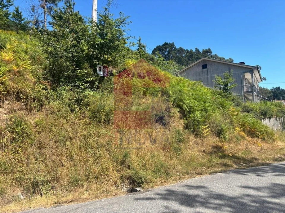 Terreno para Venda em Pico de Regalados, Gondiães e Mós Foto 4