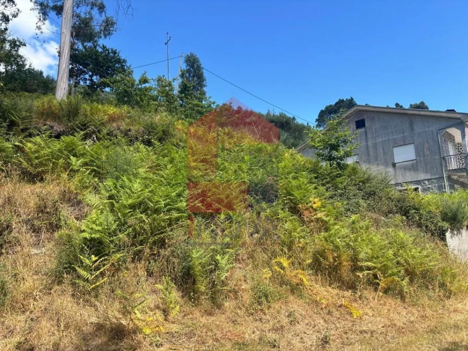 Terreno para Venda em Pico de Regalados, Gondiães e Mós Foto 3