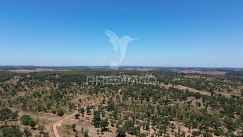 Quinta para Venda em Cercal