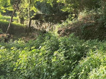 Moradia para Venda em Airães