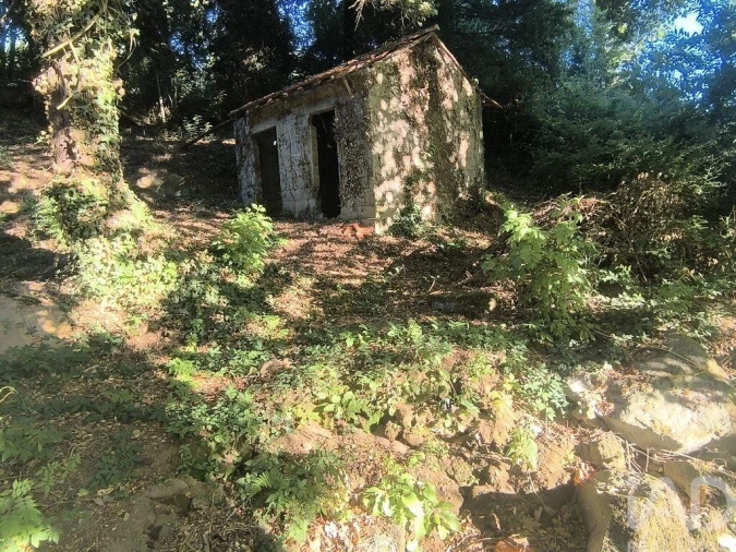 Moradia para Venda em Airães Foto 13