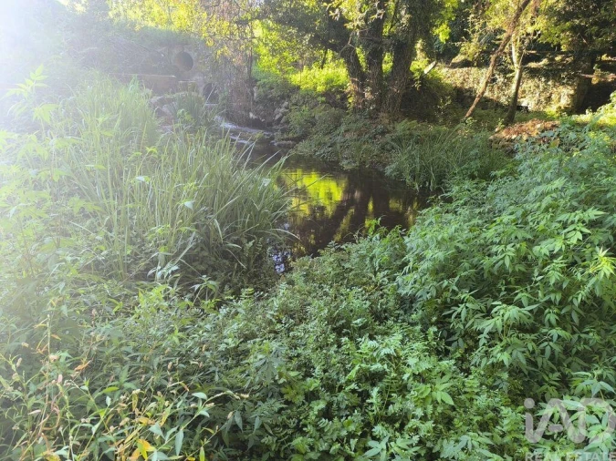 Moradia para Venda em Airães Foto 22