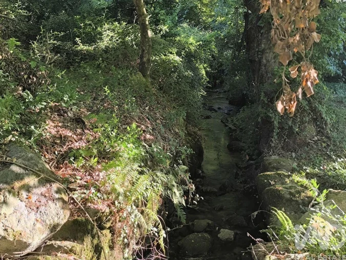 Moradia para Venda em Airães Foto 14
