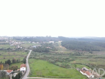 Terreno para Venda em Sé Nova, Santa Cruz, Almedina e São Bartolomeu