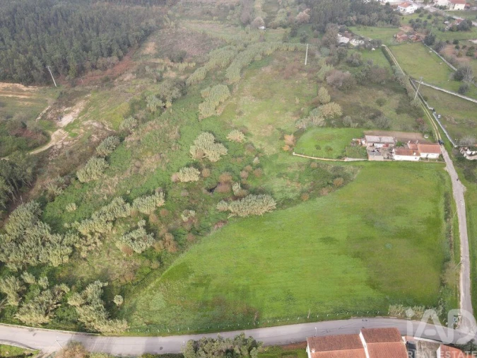 Terreno para Venda em Sé Nova, Santa Cruz, Almedina e São Bartolomeu Foto 10