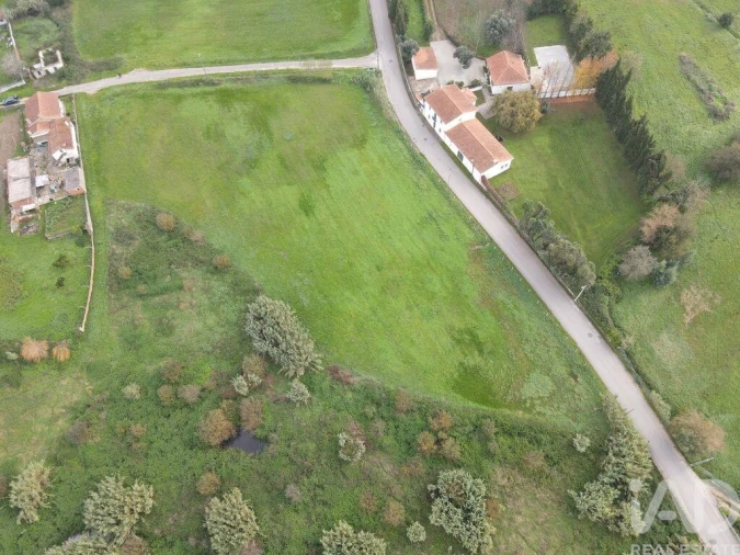 Terreno para Venda em Sé Nova, Santa Cruz, Almedina e São Bartolomeu Foto 8