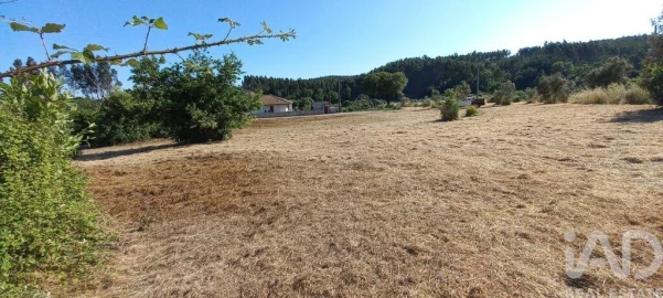 Terreno para Venda em Graça