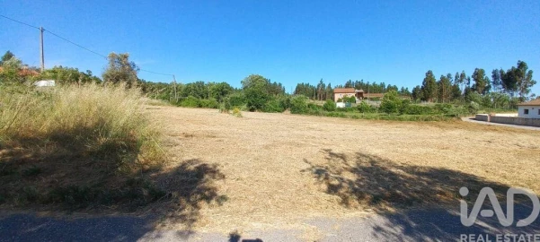 Terreno para Venda em Graça