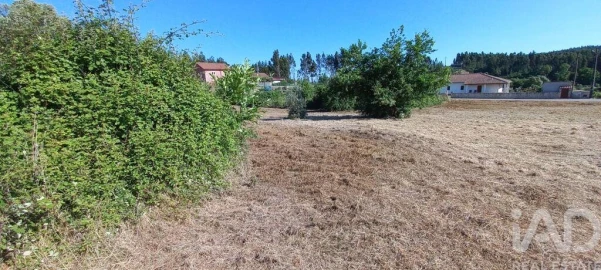 Terreno para Venda em Graça