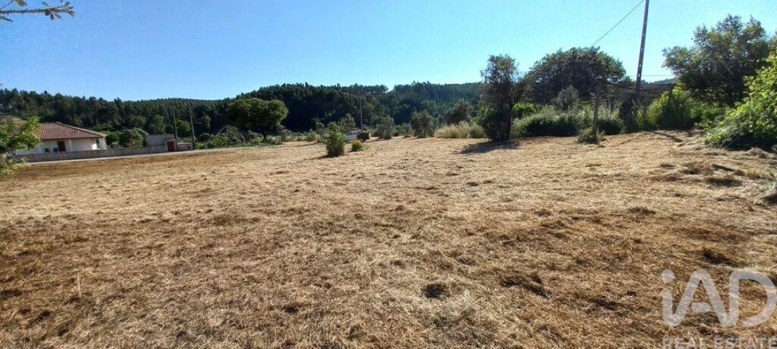 Terreno para Venda em Graça Foto 4