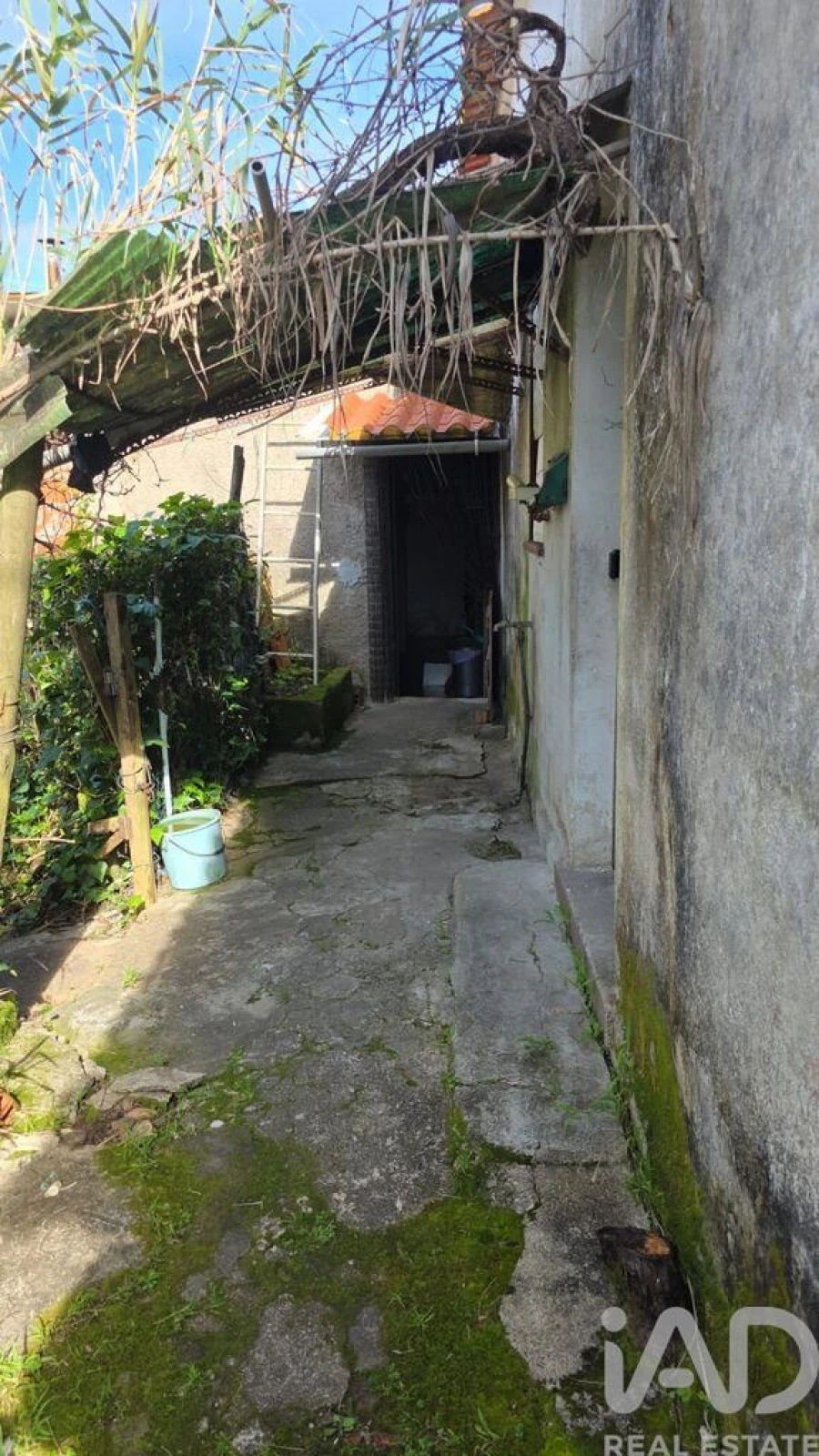 Moradia T6 para Venda em Eiras e São Paulo de Frades Foto 7